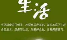 朋友圈正能量心灵鸡汤