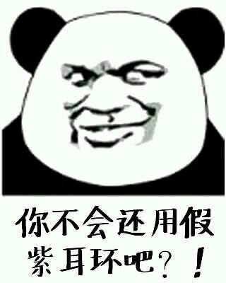 傻迪克自动回复