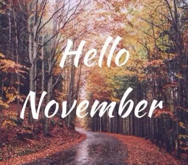 谈谈11月2日的心情愉快