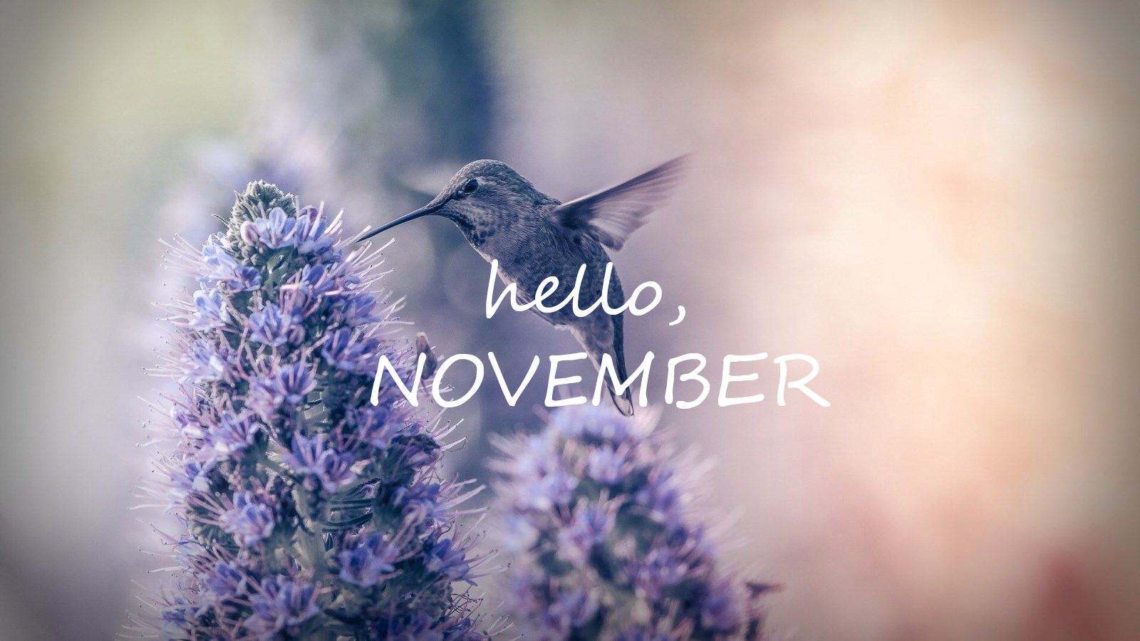 说说你十一月的心情好