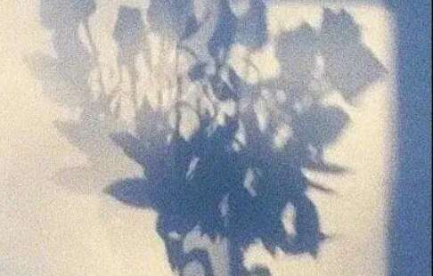 女人对自己最好的自我的判刑