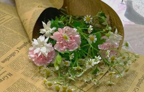 十一月你好朋友圈聊天1