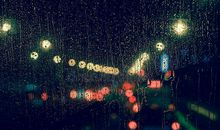 赞扬秋天浪漫的诗句