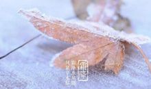 霜降祝福语大全