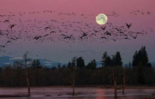 逼真的句子,带给人生命的感觉1