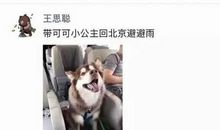 朋友圈适合发祝福的句子