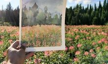 抖音很火很励志的短句