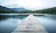 文艺优美的句子