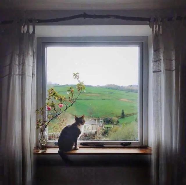 悲伤和受委屈的人的一句话2