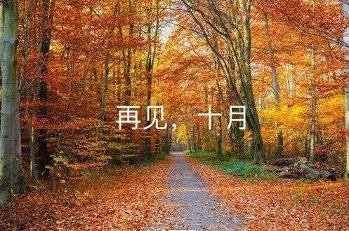 2020年10月再见，11月你好，11月你好，心情愉快