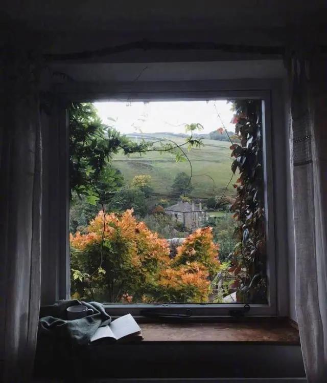 悲伤和委屈的一句话