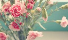 活着开心最重要的句子