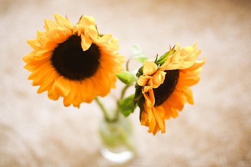 斗隐最激动人心的奋斗句子