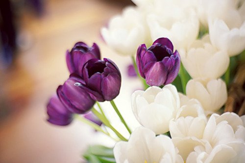 斗隐最热门的励志奋斗句子2