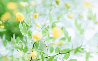 在2020年上半年，我将谈论朋友圈的广告文案。下半年，继续努力。