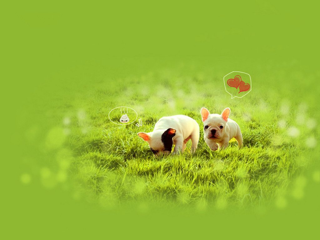 2020年上半年结束，谈论朋友圈的广告文案