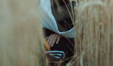 写给傻傻的自己的一句话