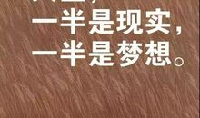 形容心情不好的句子发朋友圈