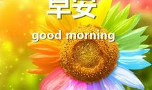 适合早上发的句子