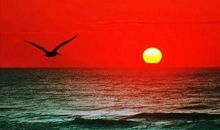 每日一句英文心情语录