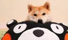 朋友圈搞笑创意文案 超短搞笑句子大全