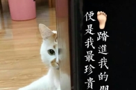 如何表达过于疲倦的时刻