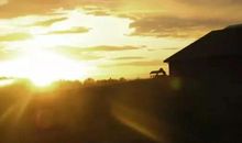 工作励志语录正能量句子