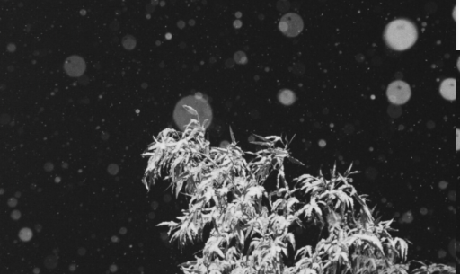 爱情破裂后的自慰句子