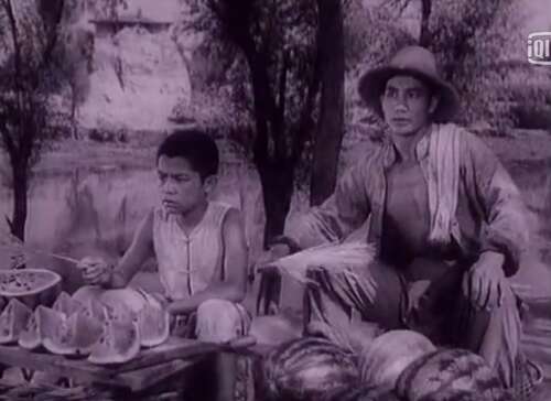 老电影的经典台词