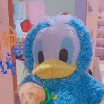 治愈悲伤的励志文案文本句子