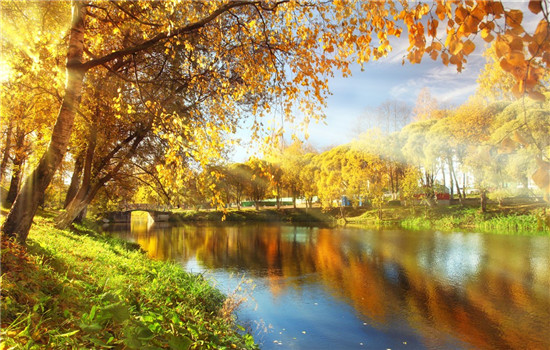 秋季限量秋季文案2