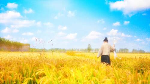 秋季限量秋季文案