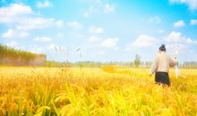 秋日限定秋日文案