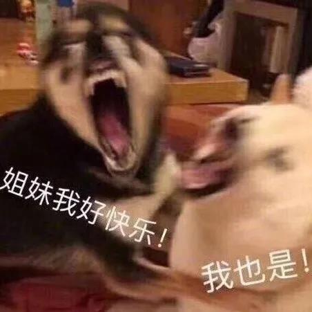 感人女友生日的文案1