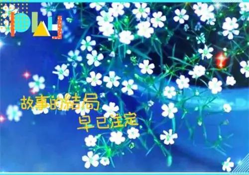 晚安心情报价和周到的晚安句子值得收集2