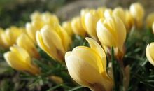 想家，想念已故亲人的句子