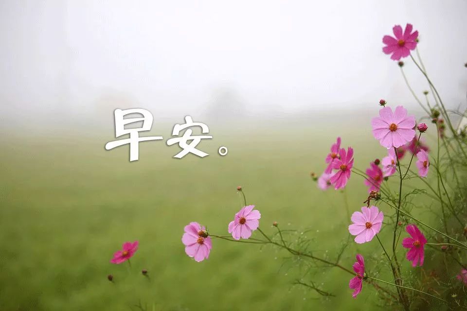 早上好问候