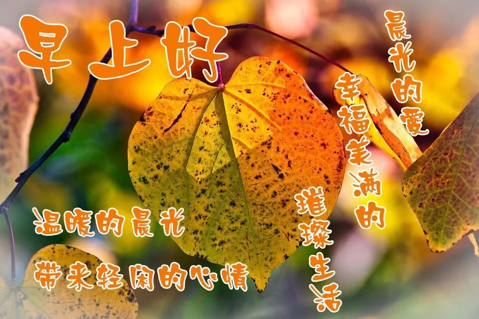 早上好问候和温暖的短语1