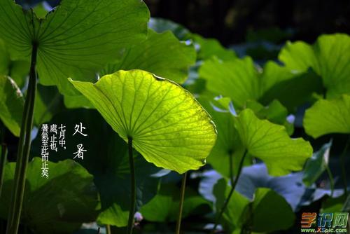 八月一日的祝福