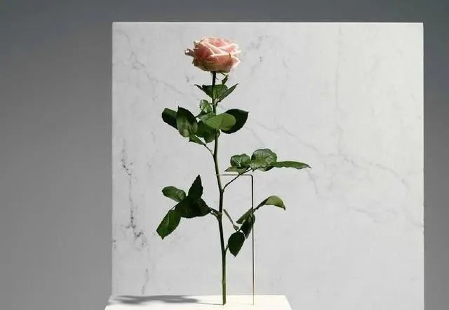 书中那些美丽而惊人的句子的节选