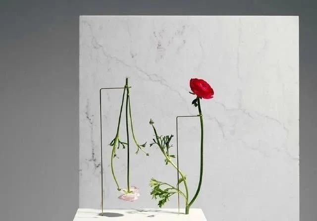 我想一眼分享这本书中那些美丽而令人惊叹的句子的摘录1