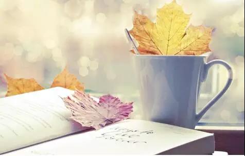 鼓励学生努力学习的励志句子