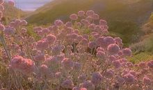 句子集丨熬过一些日子悄悄变厉害