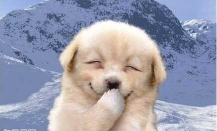 天真的短句子天真的和可爱的副本2