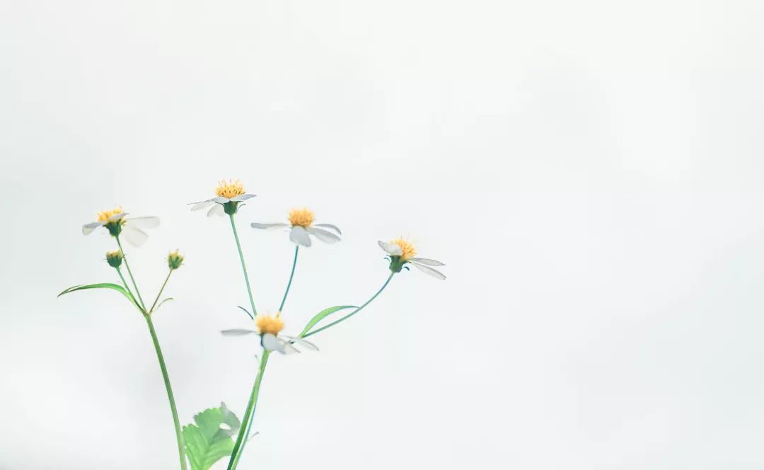 小而新鲜的文学艺术短句