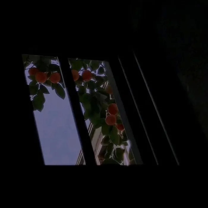 干净的8字短句，讲干净的气质