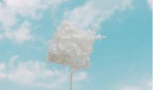 文艺的微博简介 简介文艺一句话