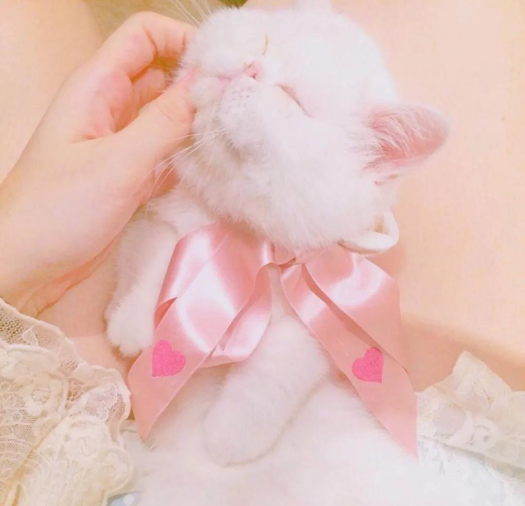 朋友圈中最经典的励志名言