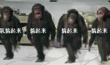 沙雕又搞怪的朋友圈文案