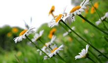 微信最新早安正能量的句子